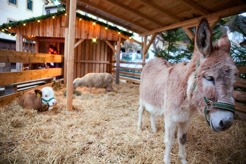 Lebendige Krippe © TV Hochsteiermark | Fred Lindmoser Adventkranz